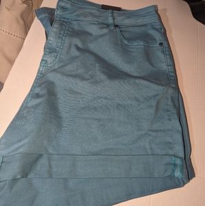 Lane Bryant shorts
